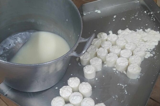 The Art of Cheesemaking: a Hands-On Journey From Farm to Table - Cheese Production Process
