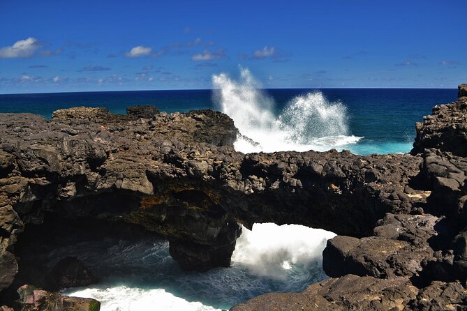 The East of Mauritius: Full-Day Incl Visit to Ile Aux Aigrettes & Lunch - Customer Reviews