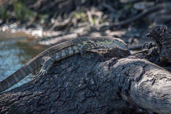 The Mosi Oa Tunya National Park Game Drive - Frequently Asked Questions