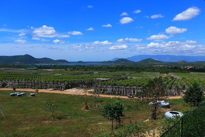 The Plantation Tour (Discovering Kampot Pepper) + Lunch