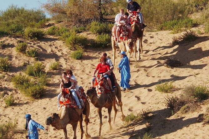 Top Pack 3: City Tour + Camel Ride + Crocodile Park - Pickup and Start Times