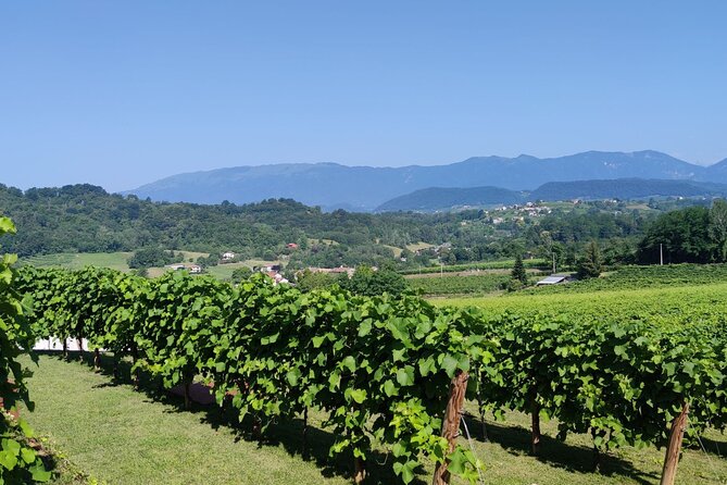 Tour and Tasting in the Hills of Prosecco Superiore DOCG - Tour Highlights