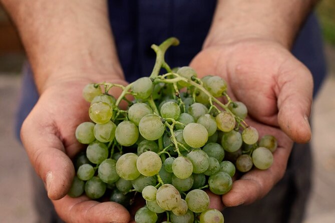 Tour and Tasting of Sparkling Wines in Valeggio - Booking and Cancellation Policies