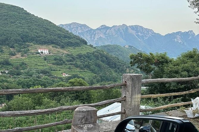 Tour From Positano to Amalfi Coast : Luxury Tour, Secret Vineyard - Customer Reviews
