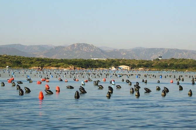 Tour Of Olbia + Typical Sardinian Dinner - Additional Information
