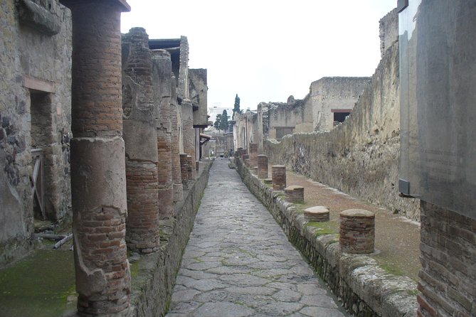 Tour of Pompeii+Herculaneum+National Archaeological Museum of Naples (Full Day) - Pickup Points and Accessibility