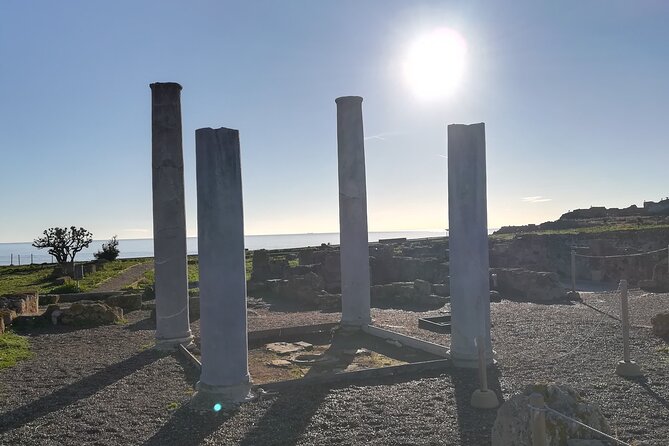Tour of the Archaeological Area of Nora, Entrance Fees Included - Accessibility Information