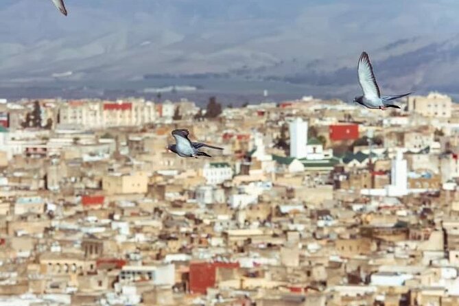 Tour to Fez Morocco With Lunch or Dinner - Reviews