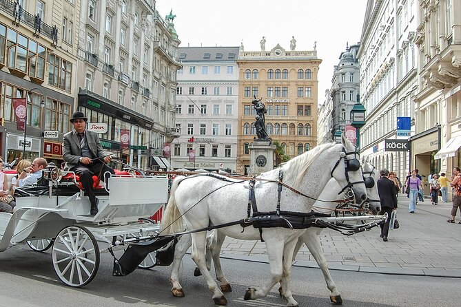Touristic Highlights of Vienna on a Private Full Day Tour With a Local - Danube River Cruise