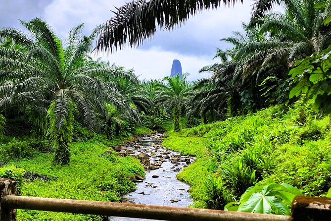 Tours in São Tomé - Pickup Information