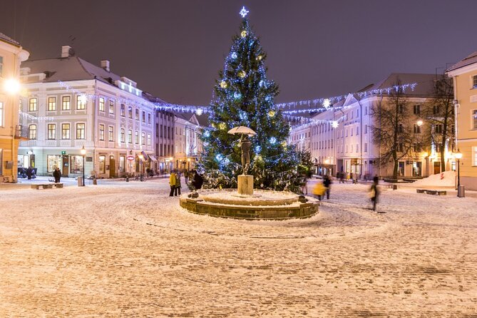 Traditional Christmas Walking Tour in Tartu - Museum Details