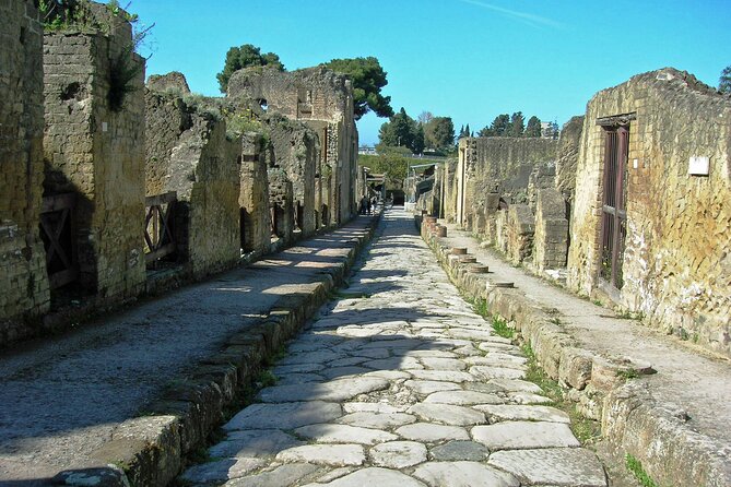 Tramvia Napoli: Transfer to Herculaneum Ruins - Important Guidelines for Participants