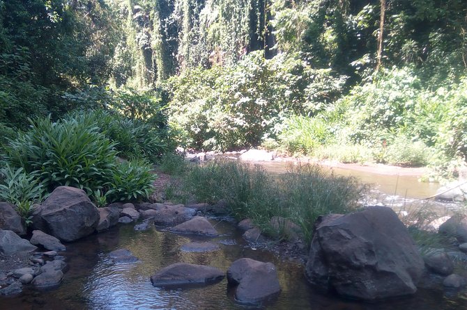 Transport Services and Cultural Tourism Arusha - How to Get in Touch