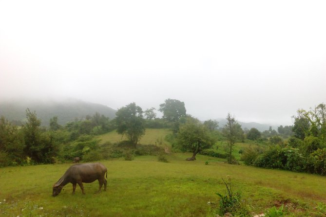 Trekking Kalaw to Inle Lake - Tour Highlights and Itinerary