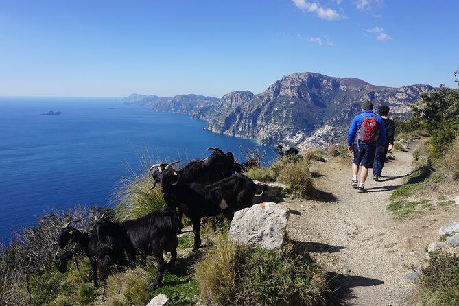Trekking of the Amalfi Coast - 4 Days / 3 Nights - Accommodation Details