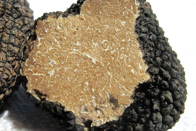 Truffle Hunting Umbria Including Truffle Breakfast - Additional Information for Participants