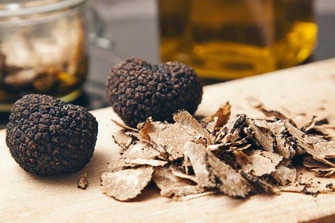 Truffle Hunting & Wine Tasting In Istria (private V.i.p. Tour) - Meeting and Pickup Details