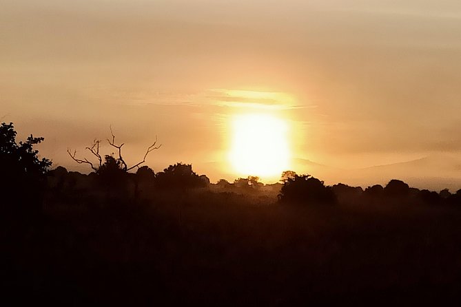 Tsavo Expedition Safari - Pickup Points and Start Time