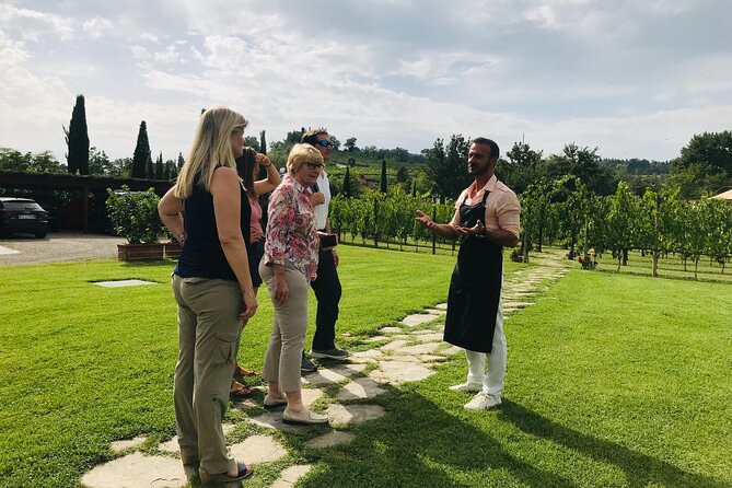 Tuscany: Chianti Semi-Private Wine Tasting and Dinner in Vineyard - Price and Booking