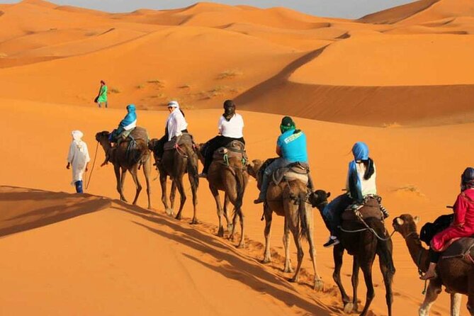 Two Days Dessert Trekking Experience From Fes to Merzouga - Day 1 Activities