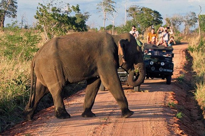 Udawalawe National Park Private Safari - Visitor Recommendations