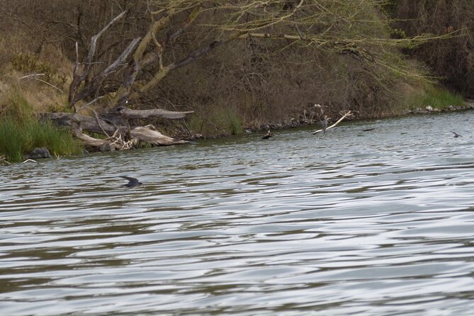 Unbelievable Trip To The Great Migration And River Crossing - Itinerary Details