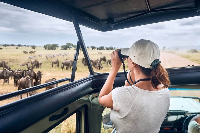 Unforgettable Safari Package With Luxury Experience - Accessibility and Safety Guidelines