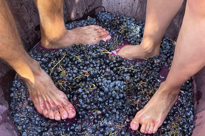 Utiel-Requena Excursion: Uncover the Flavors of Valencias Wine - Scenic Views of Valencias