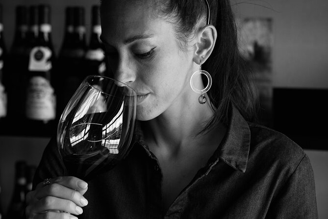 Verona Area: Private Wine Tour in Valpolicella - Price and Cancellation Policy