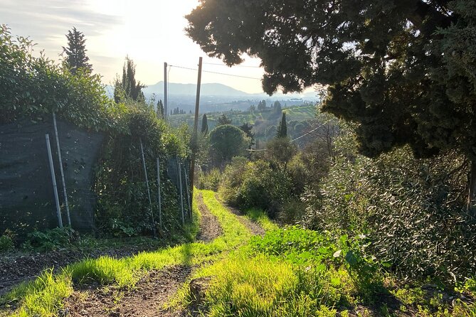 Vinci E-Bike Tour in Leonardos Chianti - Pricing Information and Guarantees