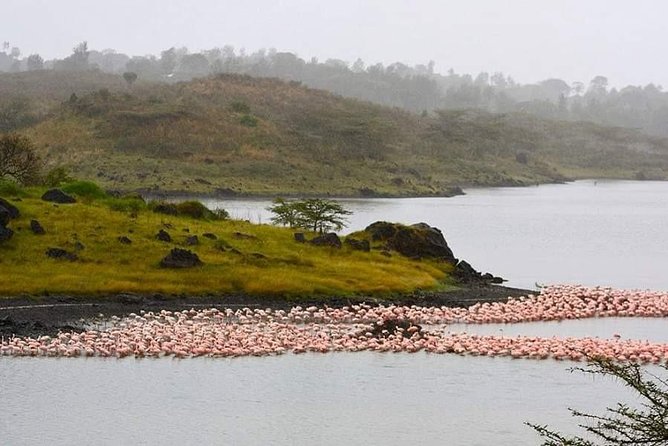 Visit Arusha Coffee Plantation Day Tour - Inclusions