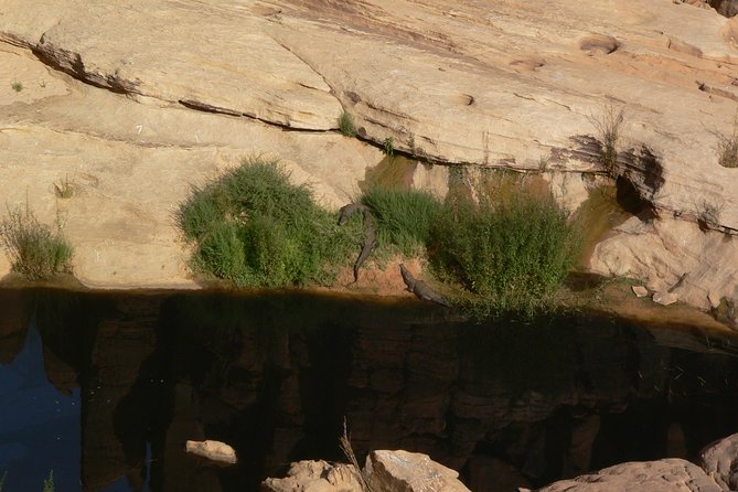 Visit of the Ennedi Nature Reserve 10 Days - Pricing Information