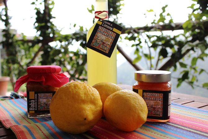 Visit to a Lemon Grove on the Amalfi Coast With Tasting - Directions