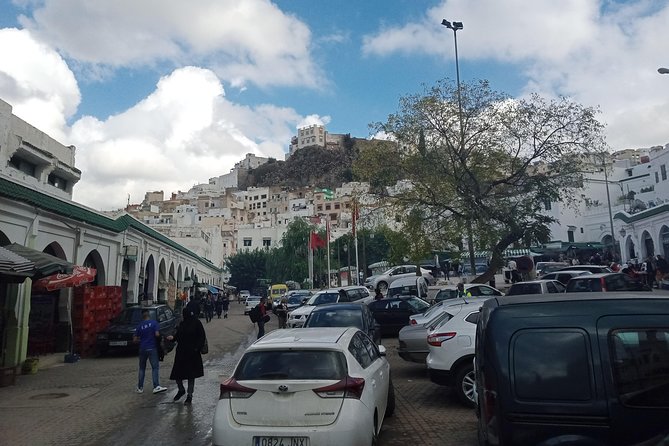 Volubilis,Moulay Idriss and Meknes Day Tour From Fez - Frequently Asked Questions