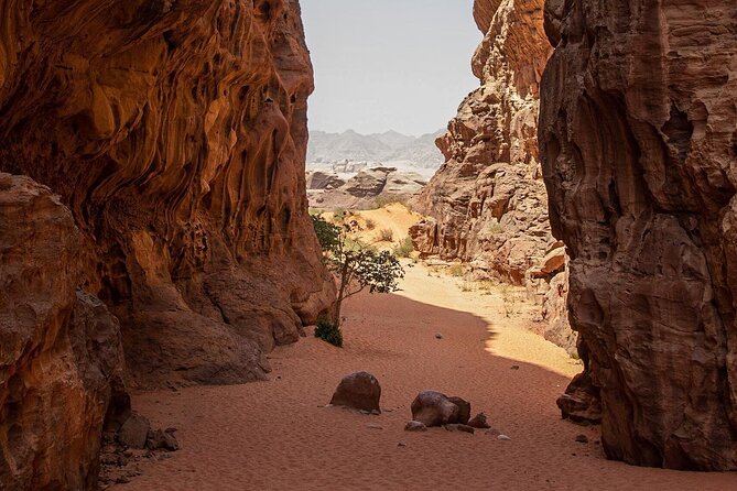 Wadi Rum Half-Day Desert Tour | Wadi Rum Desert - Traveler Tips