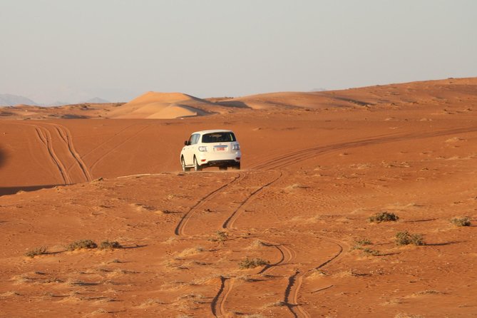 Wahiba Sands Safari With Wadi Swimming and Camelride - Pricing Details