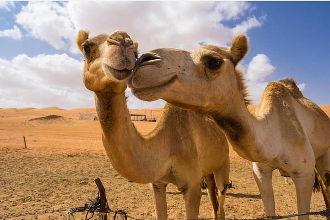 Wahiba Sands Tour With Wadi Bani Khalid Tour (Price per Vehicle) - Pricing and Guarantees