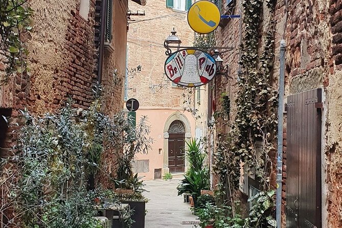 Walk in the Heart of Foiano Della Chiana and Its Surroundings - Immerse Yourself in Local Culture