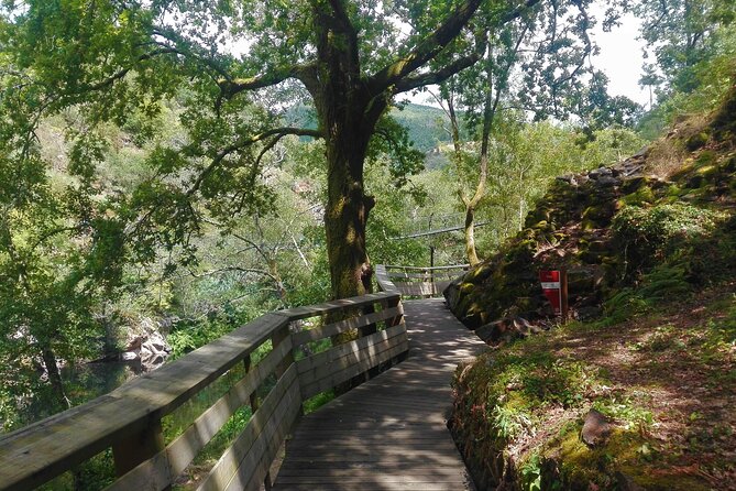 Walkways of the Paiva River and 516 Arouca Bridge Walking - Booking Process