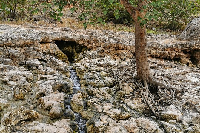 West Salalah, Al Mughsail Beach, White Beach, Frankincense Tree (Half Day Tour) - Cancellation Policy