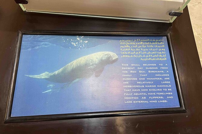 Whales Valley Museum, Magic Lake and Waterfalls in Faiyum Desert - Educational Insights and Conservation Focus