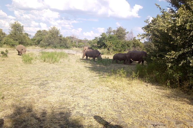 White Rhino Walk in the Mosi Oa Tunya - Availability