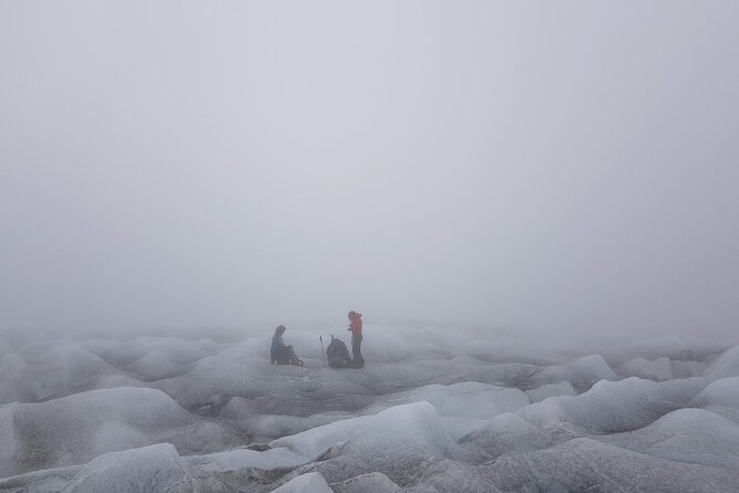 Wild Iceland Nupstaðarskógar Expedition - Start Time