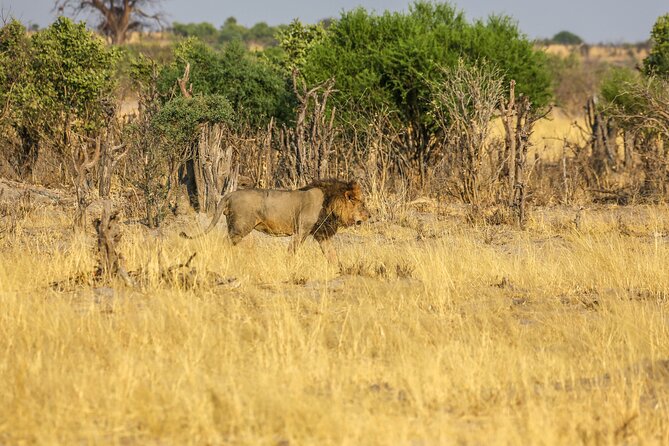 Windhoek Wilderness Safari: A Game Drive Experience - Additional Information
