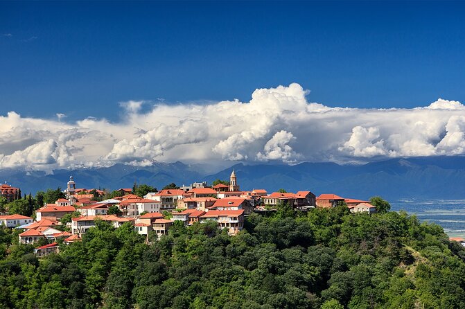 Wine, Food and Nature Tour in Wine Region Kakheti - Booking Information