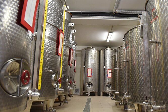 Wine Tasting and Guided Visit to the Vineyard and Cellar in S. Maria Imbaro - Additional Information and Group Size
