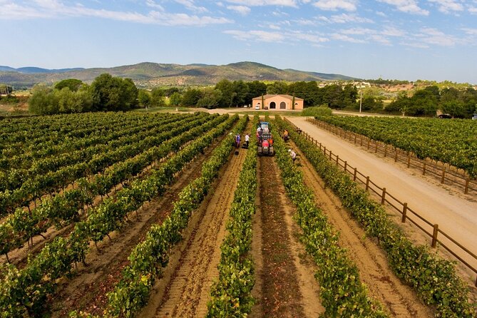 Wine Tasting & Art Tour From Nice - Pickup Details