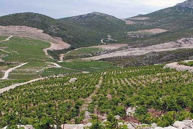 Wine Tasting Private Tour to Peljesac - Operator Information