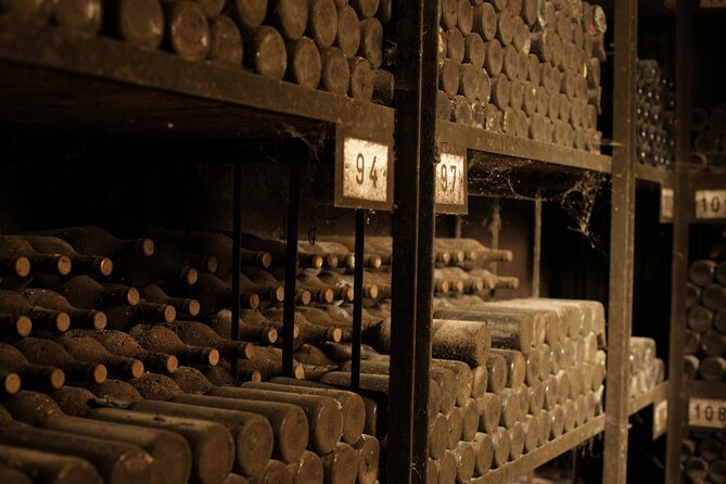 Wine Tour Macedonia - Tour Experience