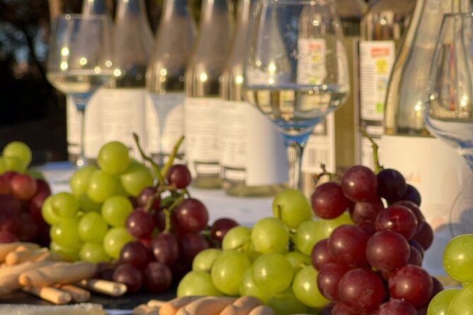 Wine Tour With Tasting in the Natural Park of La Mata - Accessibility and Restrictions